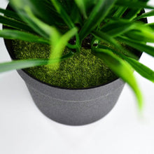 Artificial Potted Plant with Pot - dailyneed.life
