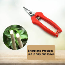 Heavy Duty Stainless Steel Cutter, Non‑slip Trimming Scissors Durable Not Easy To Wear for Gardening Pruning Of Fruit Trees Flowers and Plants (With Plastic Packing) - dailyneed.life