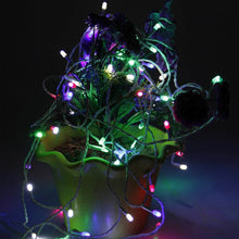 Hanging Lights for home decoration 4Mtr - dailyneed.life