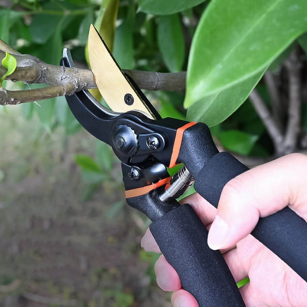 Heavy Duty Garden Pruning Shears (1 Pc) - dailyneed.life