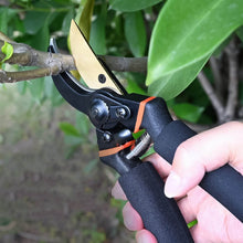 Heavy Duty Garden Pruning Shears (1 Pc) - dailyneed.life