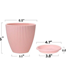 Plastic Flower Pot with Bottom Tray (5 Pcs Set) - dailyneed.life