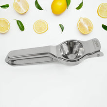 Apex Heavy Duty Stainless Steel Lemon Press Squeezer - dailyneed.life