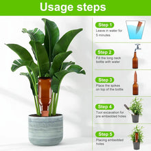 Self Plant Watering Spikes (4 Pcs Set) - dailyneed.life