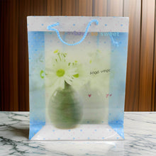 Plastic Transparent Bag With Handle (1 Pc / 34 x 26 Cm) - dailyneed.life