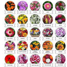 Seeds 20 Varieties of Flower Seeds Combo (1 Pkt / 20 Varieties) - dailyneed.life