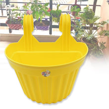 Multicolor Hanging Plastic Planters Orchid Relling , For Plantation, Planters for Balcony and Home Gardening, Indoor, Outdoor (1 Pc ) - dailyneed.life