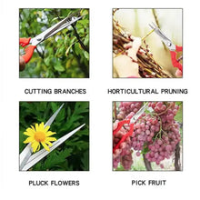 Heavy Duty Stainless Steel Cutter, Non‑slip Trimming Scissors Durable Not Easy To Wear for Gardening Pruning Of Fruit Trees Flowers and Plants (With Plastic Packing) - dailyneed.life