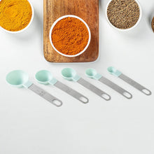 Stainless Steel and Plastics Measuring Spoon (Set of 5 Pc) - dailyneed.life