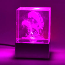3D Mix Design LED Light Base With Speaker (1 Pc / B Grade) - dailyneed.life