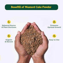 Mustard Cake Fertilizer For Plants 900gm - dailyneed.life