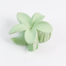 Matte Finish Hair Claw Clip (1 Pc / Mix Color) - dailyneed.life