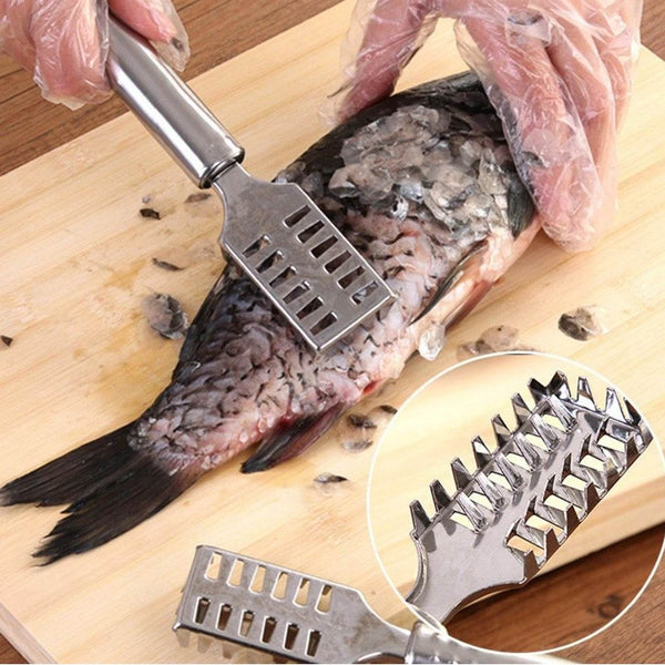 Stainless Steel Fish Scale Remover Scraper – Sawtooth Kitchen Tool - dailyneed.life