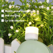USB LED LAMP Night Light, Mini Portable for PC and Laptop (5 pcs Set / Mix Color) - dailyneed.life