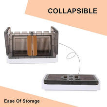 Plastic Folding Wardrobe Storage Organizer (1 Layer / 1 Pc) - dailyneed.life