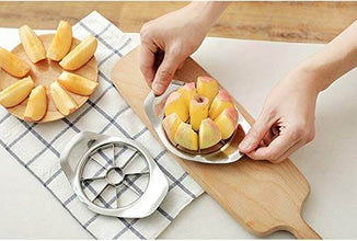 Stainless Steel Apple Cutter / Slicer with 8 Blades and Handle - dailyneed.life