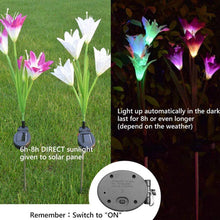 Waterproof Outdoor Solar Lily Flower Stake Lights ( Pack Of 2 pcs ) - dailyneed.life
