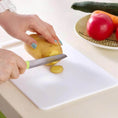 Kitchen Plastic Cutting / Chopping Board - dailyneed.life