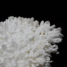 Dust Mop Refill - Replacement Mop Head Only - 50cm X 20cm - dailyneed.life
