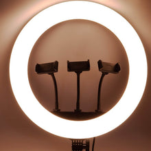 18 Inch LED Ring Light with 3 Colour Modes & 3 Mobile Holders, Remote Control (1 Set) - dailyneed.life