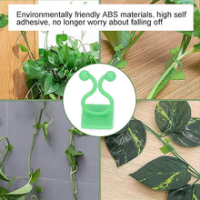 Plant Climbing Wall Fixture Clip Self-Adhesive Hook (100 Pcs Set) - dailyneed.life