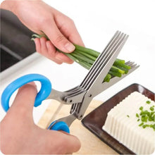 MULTIFUNCTION VEGETABLE STAINLESS STEEL HERBS SCISSOR WITH 5 BLADES - dailyneed.life