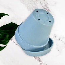 Heavy Plastic Flower pots With Tray (1 Pc) - dailyneed.life