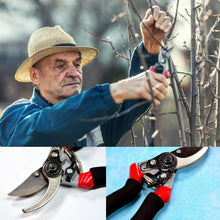 21Cm Red GARDEN SHEARS SHARP CUTTER PRUNERS SCISSOR, PRUNER. - dailyneed.life