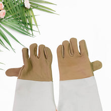 Garden Gloves for Gardening Work (1 Pair / B Grade / Big) - dailyneed.life