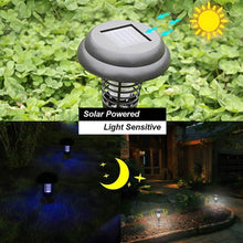 Garden Lighting UV LED Solar Powered LED Mosquito Trap / Bug Zapper (2 Pc) - dailyneed.life