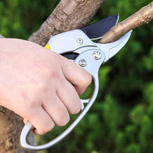 Gardening Shears, Enhanced Garden Shears Pruning Machine (200 MM / 1 Pc) - dailyneed.life