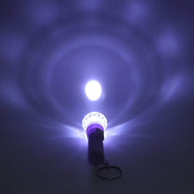 Mini LED Flashlight Keychain Torch (Mix Color & 1 Pc) - dailyneed.life