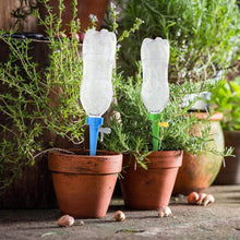 Adjustable Plant Watering Spikes with Slow Release Valve - dailyneed.life