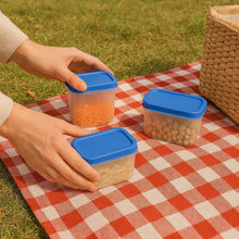 Apex Glory Plastic Storage Container Box Set (4 Pc) - dailyneed.life
