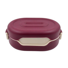 Airtight Food Grade Tiffin Box with 2 in 1 Spoon And 2 Compartment - dailyneed.life