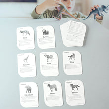 Kidkraft 32-Piece Animal Flash Cards Set - dailyneed.life