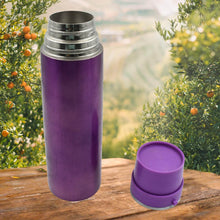 Stainless Steel Water Bottle Leak Proof, Rust Proof, Hot & Cold Drinks, Gym Sipper BPA Free Food Grade Quality, Steel fridge Bottle For office / Gym / School (500 ML Approx) - dailyneed.life