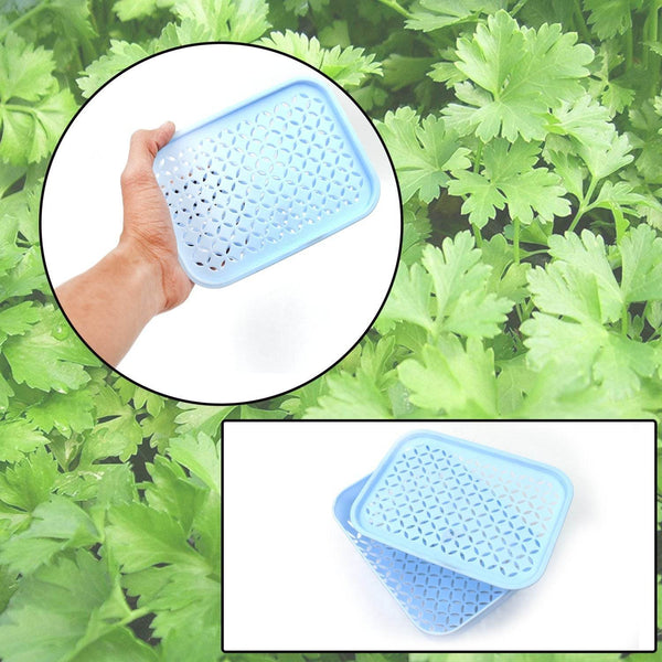 1 Pc Kothmir Basket widely used in all types of household places for holding and storing various kinds of fruits and vegetables etc. - dailyneed.life