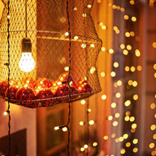 9Mtr Flower Design Home Decoration Electrical Series Light Home Decoration Diwali & Wedding LED Christmas String Light Indoor and Outdoor Light ,Festival Decoration Led String Light, Multi-Color Light (36L 9Mtr) - dailyneed.life