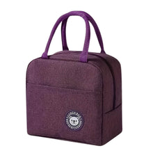 Lunch Box Bag for Women Men Insulated Lunch Bag With Zipper (1 Pc) - dailyneed.life