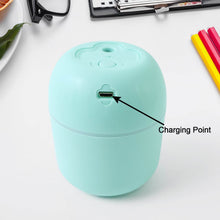 Portable Mini USB Humidifier with Light, Cool Mist & Essential Oil Diffuser (250ML / Mix Design) - dailyneed.life