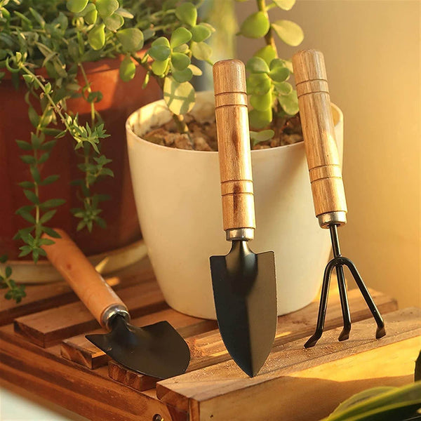 Small sized Hand Cultivator, Small Trowel, Garden Fork (Set of 3) - dailyneed.life