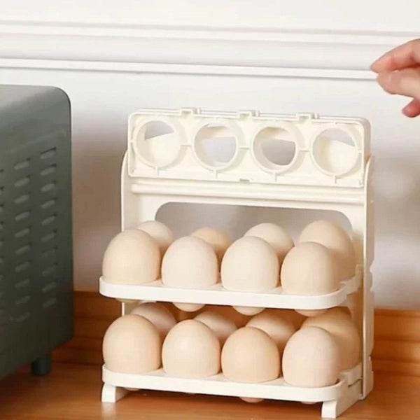 Plastic Foldable Egg Tray | 24 Grid Egg Storage Box (1 Pc) - dailyneed.life