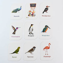 KidKraft Early Learner Educational Flashcards – 32 Birds - dailyneed.life