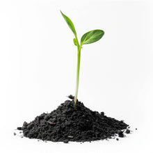 Organic Vermicompost Black Soil for Plants Health Manure (1 KG Approx) - dailyneed.life