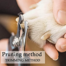 Pet Nail Clipper and Nail File Grooming Kit for Dogs and Cats (Mix Color / 2 Pc) - dailyneed.life