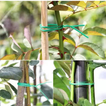Garden Wire, Sturdy Plant Ties for Support, Garden Ties with Cutter for Tomatoes Vines, Plant Wire Tie Wire for Indoor, Outdoor, Home and Office Use (50 Mtr) - dailyneed.life