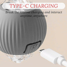 Rechargeable Interactive Cat Toy Ball with Detachable Braided Tail and LED Light (1 Pc) - dailyneed.life