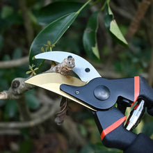 Heavy Duty Garden Pruning Shears (1 Pc) - dailyneed.life
