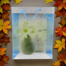 Plastic Transparent Bag With Handle (1 Pc / 34 x 26 Cm) - dailyneed.life